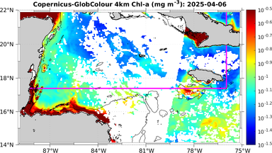 ssc_20250406T0000_caribbean.png