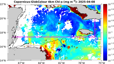 ssc_20250408T0000_caribbean.png