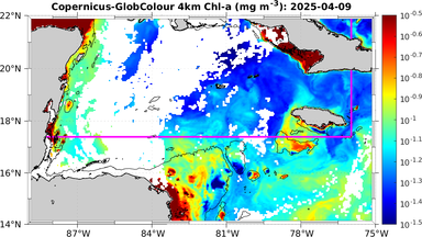 ssc_20250409T0000_caribbean.png