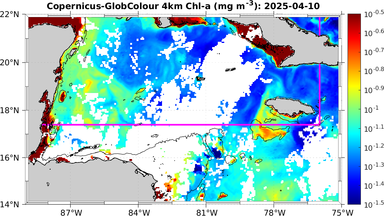 ssc_20250410T0000_caribbean.png