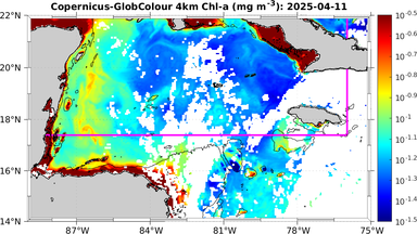 ssc_20250411T0000_caribbean.png