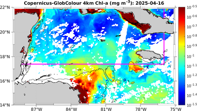 ssc_20250416T0000_caribbean.png