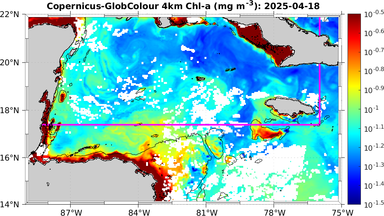 ssc_20250418T0000_caribbean.png