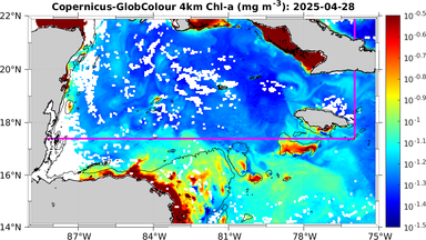 ssc_20250428T0000_caribbean.png