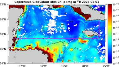 ssc_20250501T0000_caribbean.png
