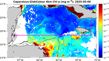 ssc_20250506T0000_caribbean.png
