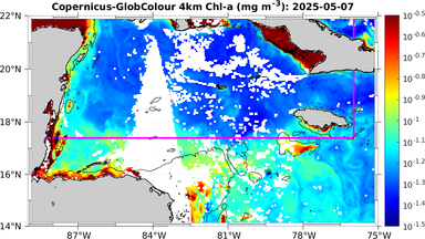 ssc_20250507T0000_caribbean.png