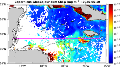 ssc_20250510T0000_caribbean.png