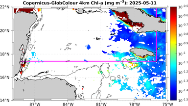 ssc_20250511T0000_caribbean.png