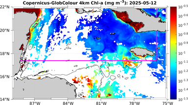 ssc_20250512T0000_caribbean.png