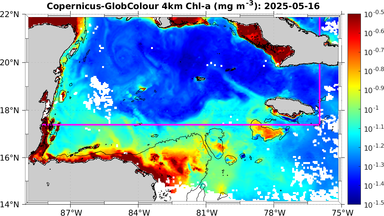ssc_20250516T0000_caribbean.png