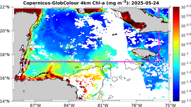 ssc_20250524T0000_caribbean.png
