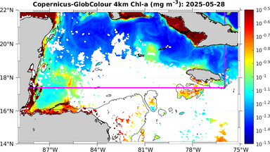 ssc_20250528T0000_caribbean.png