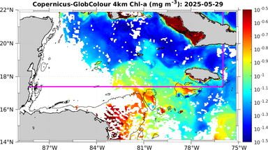 ssc_20250529T0000_caribbean.png