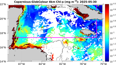 ssc_20250530T0000_caribbean.png