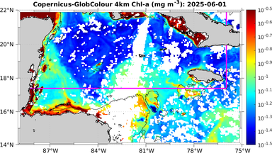 ssc_20250601T0000_caribbean.png