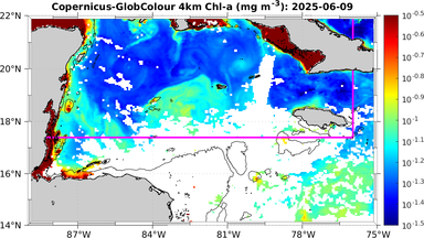 ssc_20250609T0000_caribbean.png