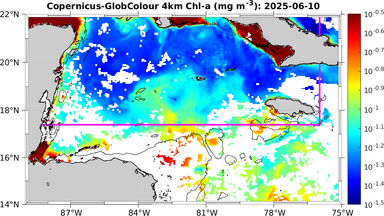 ssc_20250610T0000_caribbean.png
