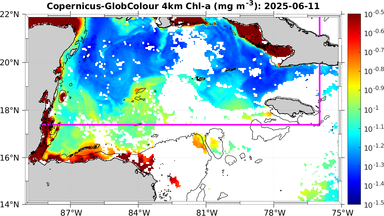 ssc_20250611T0000_caribbean.png