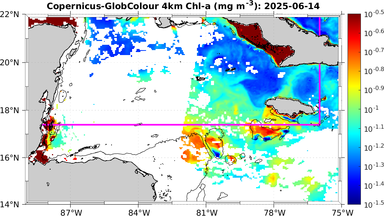 ssc_20250614T0000_caribbean.png