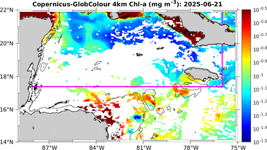 ssc_20250621T0000_caribbean.png