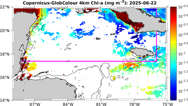 ssc_20250622T0000_caribbean.png