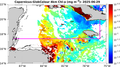 ssc_20250629T0000_caribbean.png