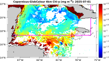 ssc_20250701T0000_caribbean.png