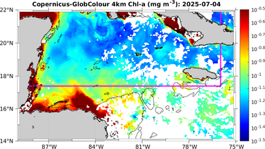 ssc_20250704T0000_caribbean.png