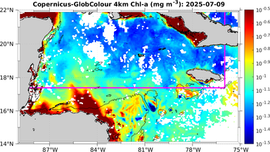 ssc_20250709T0000_caribbean.png