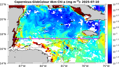 ssc_20250710T0000_caribbean.png