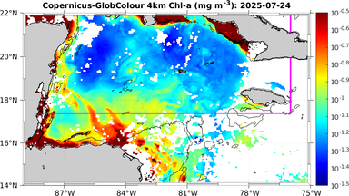 ssc_20250724T0000_caribbean.png