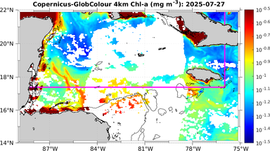 ssc_20250727T0000_caribbean.png