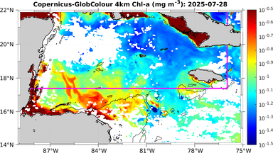 ssc_20250728T0000_caribbean.png