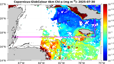 ssc_20250730T0000_caribbean.png