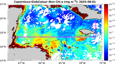 ssc_20250801T0000_caribbean.png