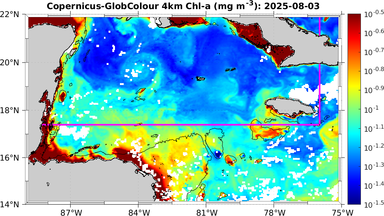 ssc_20250803T0000_caribbean.png
