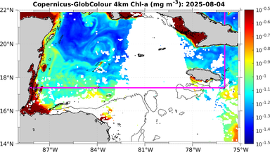 ssc_20250804T0000_caribbean.png