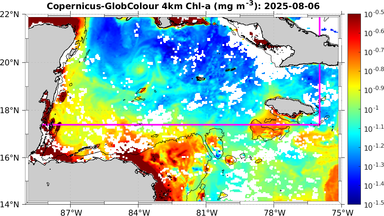 ssc_20250806T0000_caribbean.png