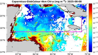 ssc_20250808T0000_caribbean.png