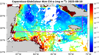 ssc_20250810T0000_caribbean.png