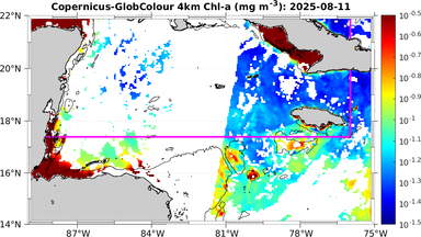 ssc_20250811T0000_caribbean.png