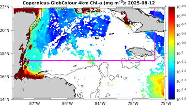 ssc_20250812T0000_caribbean.png