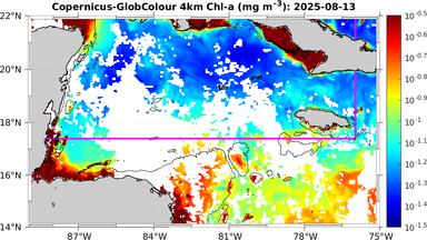 ssc_20250813T0000_caribbean.png