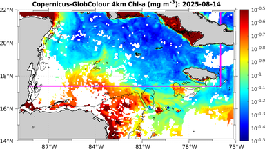 ssc_20250814T0000_caribbean.png