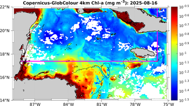 ssc_20250816T0000_caribbean.png