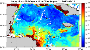 ssc_20250817T0000_caribbean.png
