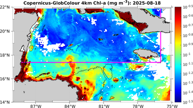 ssc_20250818T0000_caribbean.png
