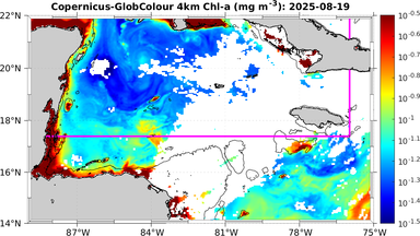 ssc_20250819T0000_caribbean.png