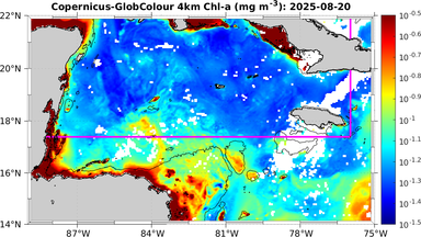 ssc_20250820T0000_caribbean.png